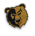 A collection of logos and images, including a bear and a football fan, are displayed. Contenido generado con IA