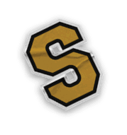 A collection of logos and images, including a bear mascot, a football team logo, and a Story of Season banner. Contenido generado con IA