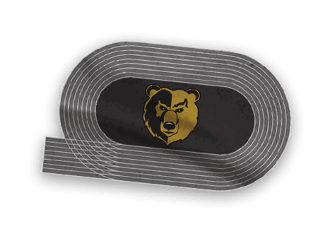 A collection of logos and images, including a bear and a football player, are displayed. Contenido generado con IA