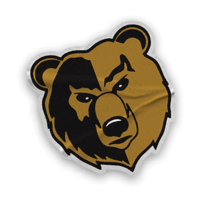 A collection of logos and images, including a bear, a football, and a hand with a thumbs up. Contenido generado con IA