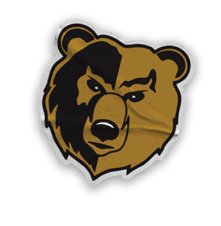 A collection of logos and images, including a bear and a football fan, are displayed. Contenido generado con IA