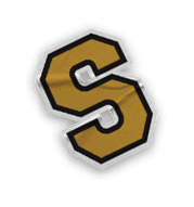 A collection of logos and images, including a bear mascot, a football team logo, and a Story of Season banner. Contenido generado con IA
