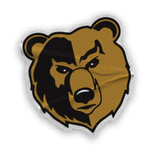 A collection of logos and images, including a bear head and a football player's hand. Contenido generado con IA