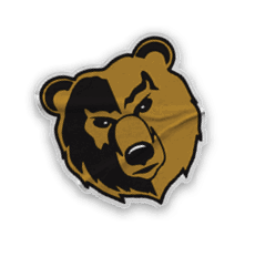 A collection of logos and images, including a bear and a football player, are displayed. Contenido generado con IA