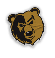 A collection of stickers and logos, including a bear and a football player, are displayed. Contenido generado con IA