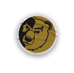 A collection of logos and images, including a bear and a football player, are displayed. Contenido generado con IA