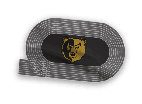 A collection of logos and images, including a bear and a football player, are displayed. Contenido generado con IA