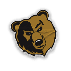 A collection of logos and images, including a bear and a football player, are displayed. Contenido generado con IA