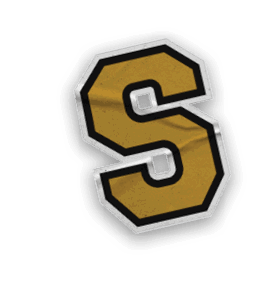 A collection of logos and images, including a bear and a football player, are displayed. Contenido generado con IA