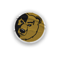 A collection of logos and images, including a bear and a football player, are displayed. Contenido generado con IA