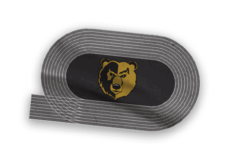 A collection of logos and images, including a bear and a football player, are displayed. Contenido generado con IA