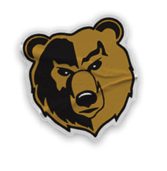 A collection of logos and images, including a bear head and a football player's hand. Contenido generado con IA