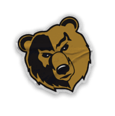 A collection of logos and images, including a bear and a football player, are displayed. Contenido generado con IA