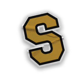 A collection of logos and images, including a bear and a football player, are displayed. Contenido generado con IA
