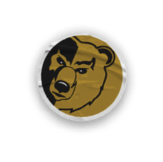 A collection of logos and images, including a bear and a football player, are displayed. Contenido generado con IA