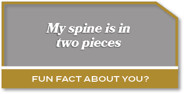 My spine is in two pieces ,Fun fact about you