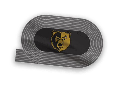 A collection of logos and images, including a bear and a football player, are displayed. Contenido generado con IA