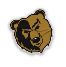 A collection of logos and images, including a bear and a football player, are displayed. Contenido generado con IA