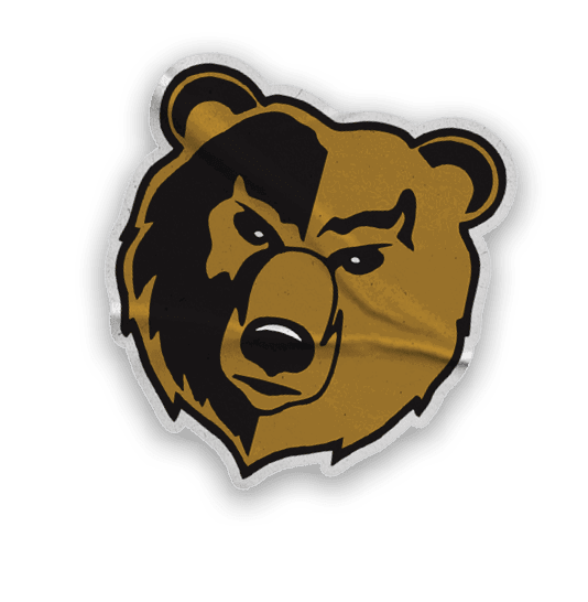A collection of logos and images, including a bear and a football player, are displayed. Contenido generado con IA