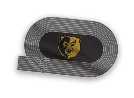 A collection of logos and images, including a bear and a football player, are displayed. Contenido generado con IA