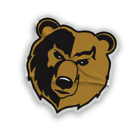 A collection of stickers and logos, including a bear, a football, and a hand with a thumbs up. Contenido generado con IA