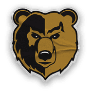 A collection of stickers and logos, including a bear and a football team. Contenido generado con IA