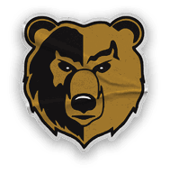 A collection of stickers and logos, including a bear and a football team. Contenido generado con IA