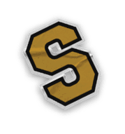 A collection of logos and images, including a bear mascot, a football team logo, and a Story of Season banner. Contenido generado con IA