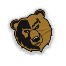 A collection of logos and images, including a bear and a football player, are displayed. Contenido generado con IA