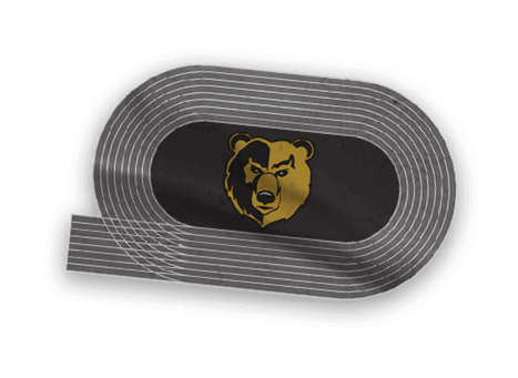 A collection of logos and images, including a bear and a football player, are displayed. Contenido generado con IA