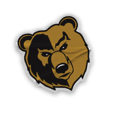 A collection of logos and images, including a bear and a football player, are displayed. Contenido generado con IA