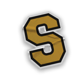 A collection of logos and images, including a bear and a football player, are displayed. Contenido generado con IA