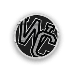 A green and white baseball logo. Description generated by AI