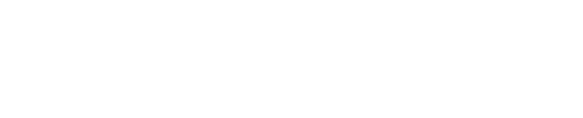 National A senior coaching license