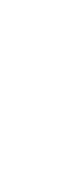 2029