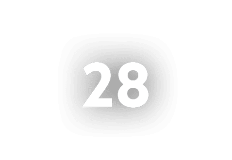 28