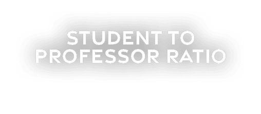 student to professor ratio
