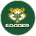 A logo for a soccer team with a bear's face and the word “soccer" written below it. AI generated content