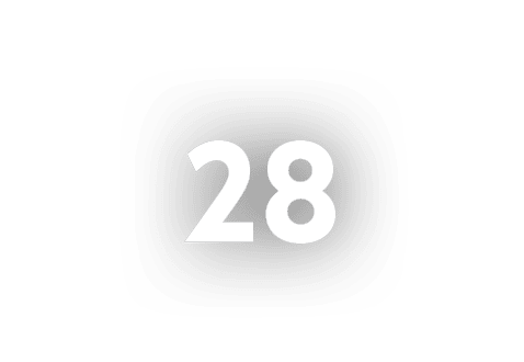 28