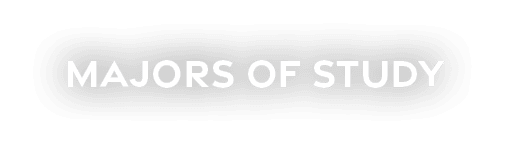 majors of study