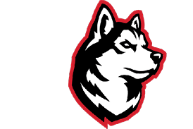 A black and white dog head with a red nose. AI generated content