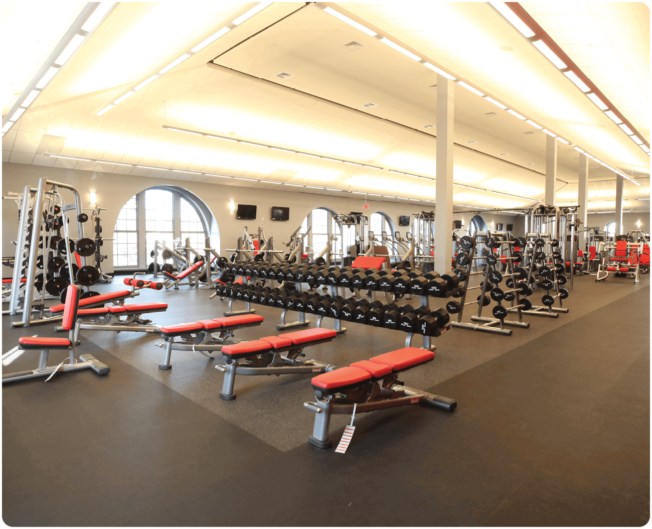 A gym with a large number of benches and a variety of weight equipment. AI generated content