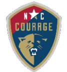 A collection of sports team logos are displayed in two columns. AI generated content