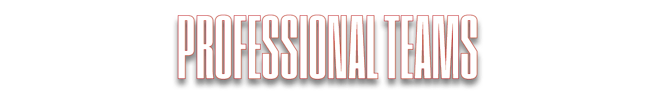 PROFESSIONAL TEAMS