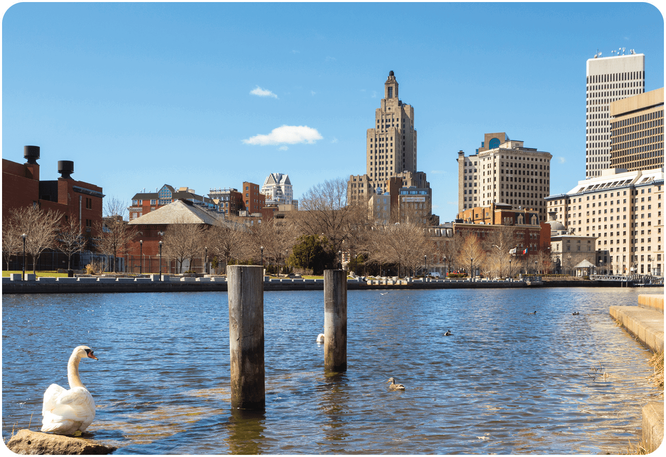 A white swan is standing in a body of water near a city. AI generated content