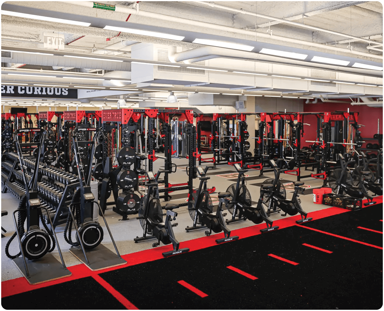 A gym with a rack of weights and a bench. AI generated content