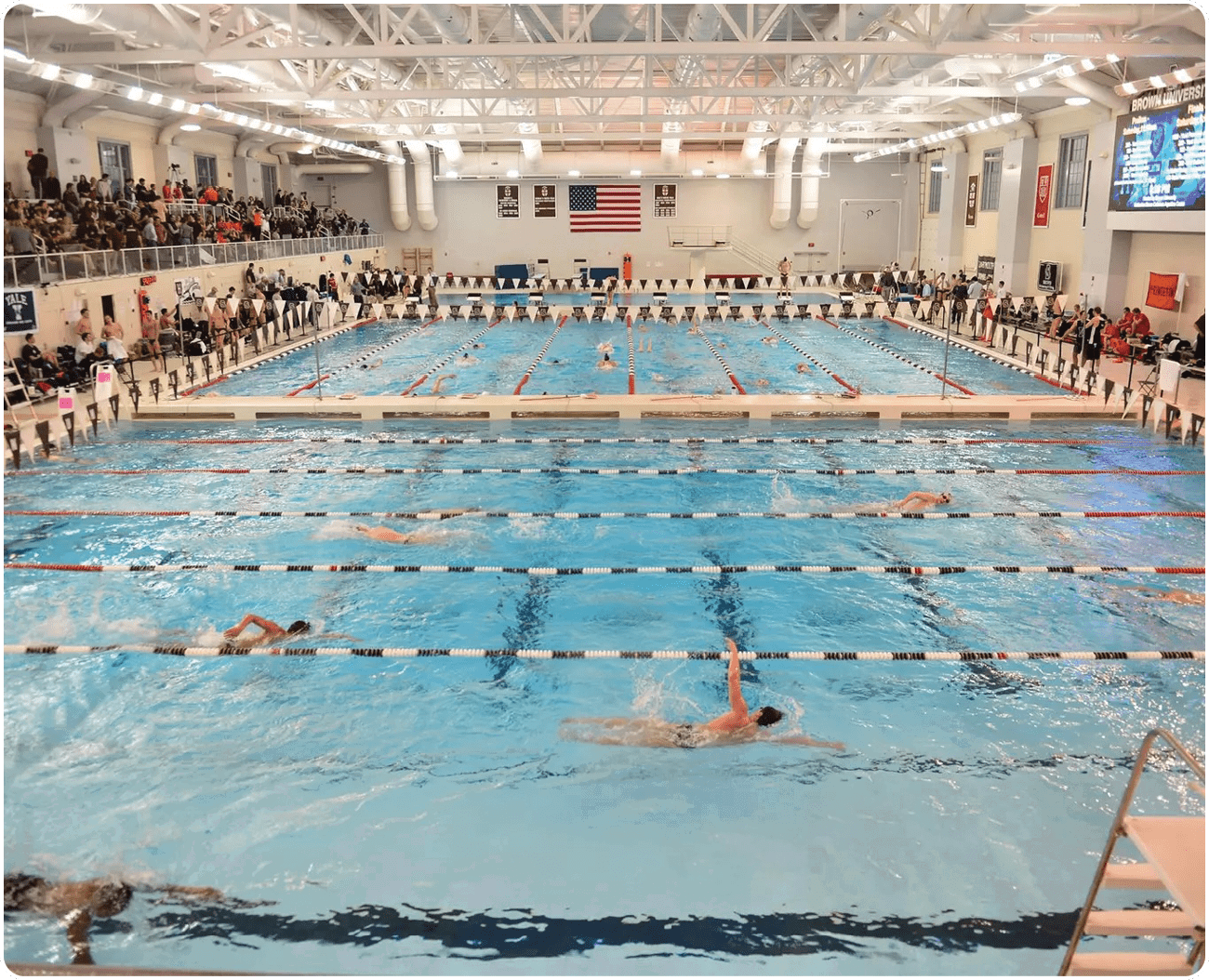 A group of people are swimming in a pool. AI generated content