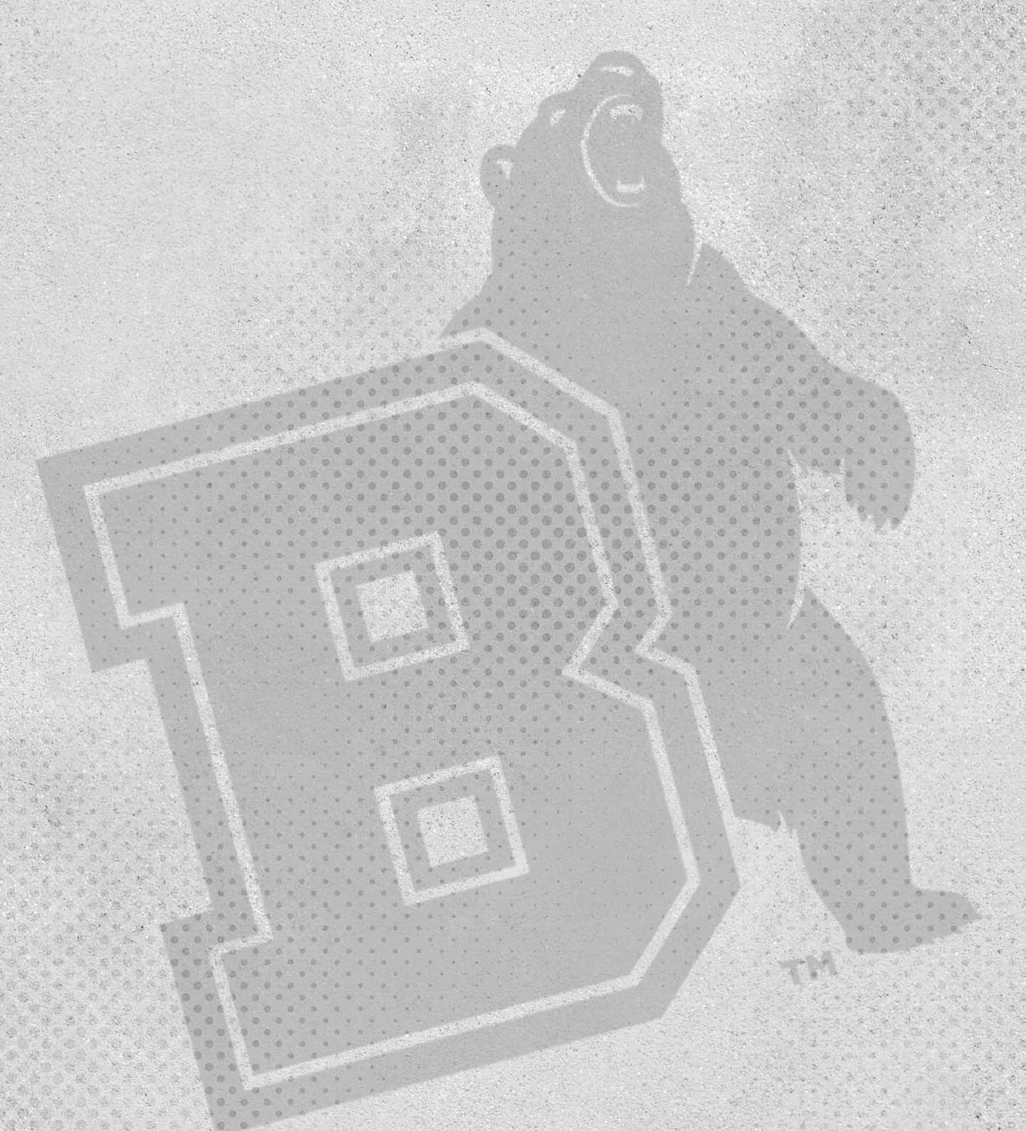 A bear is shown on a white background, with the word “Bear" written below it. AI generated content