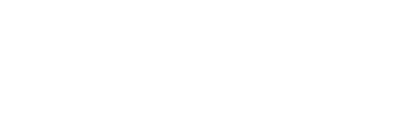 SCHOOL RECORDS