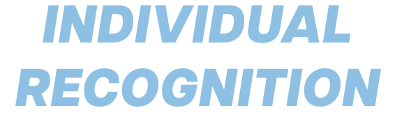 Individual Recognition